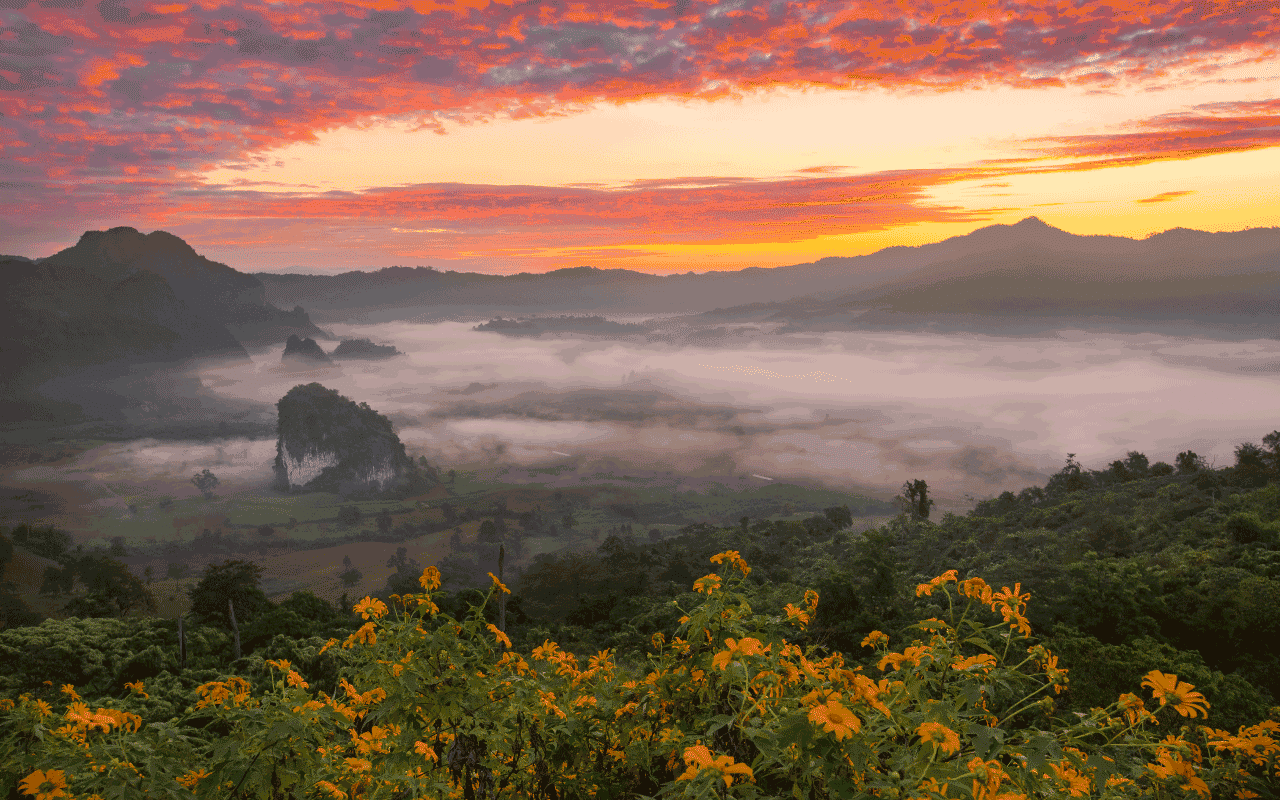 Thailand's Rainy Season at Phu Langka Forest Park, Phayao Province