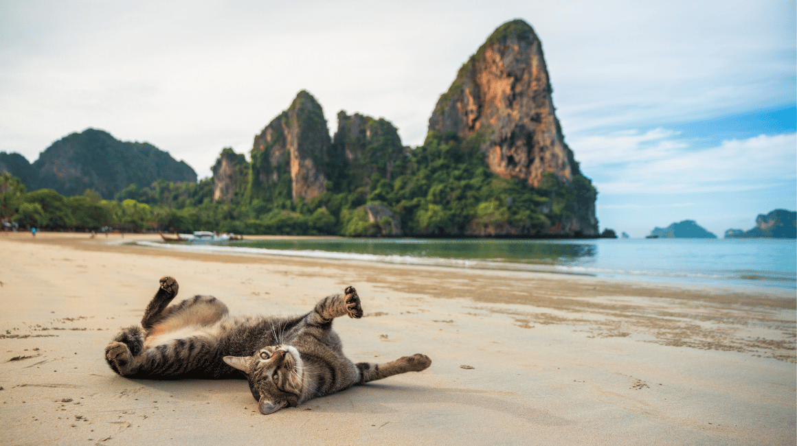 Travel Guide: Top 10 Beaches in Thailand