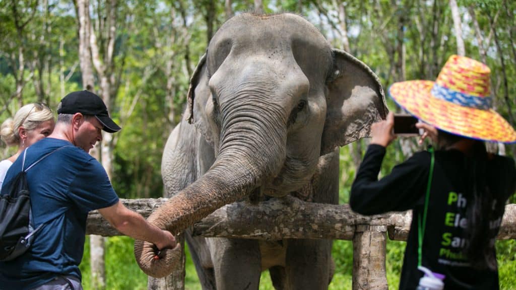 Ethical Elephant Sanctuary