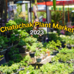 Chatuchak Plant