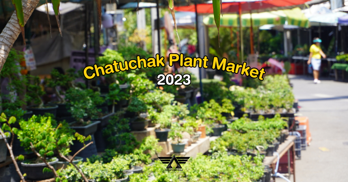 Exploring the Best Plants and Flowers at Chatuchak Plant Market