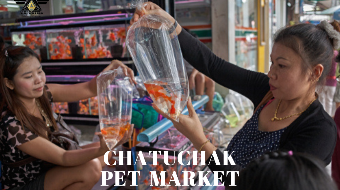 Chatuchak Pet Market or Animals