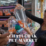 Chatuchak Pet Market or Animals