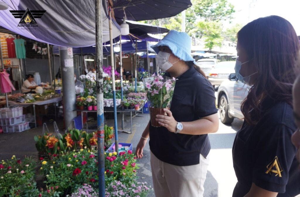 Tips for Shopping at Chatuchak Plant Market 