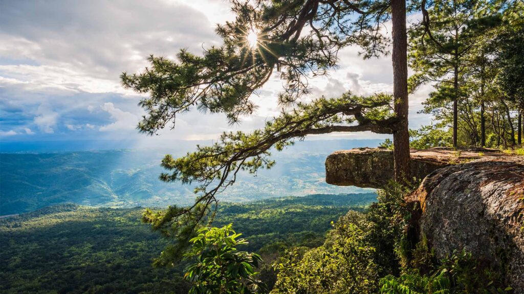 Phu Kradueng,Lei Province,Tourist attractions in Thailand