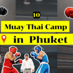 Muay Thai Camp
