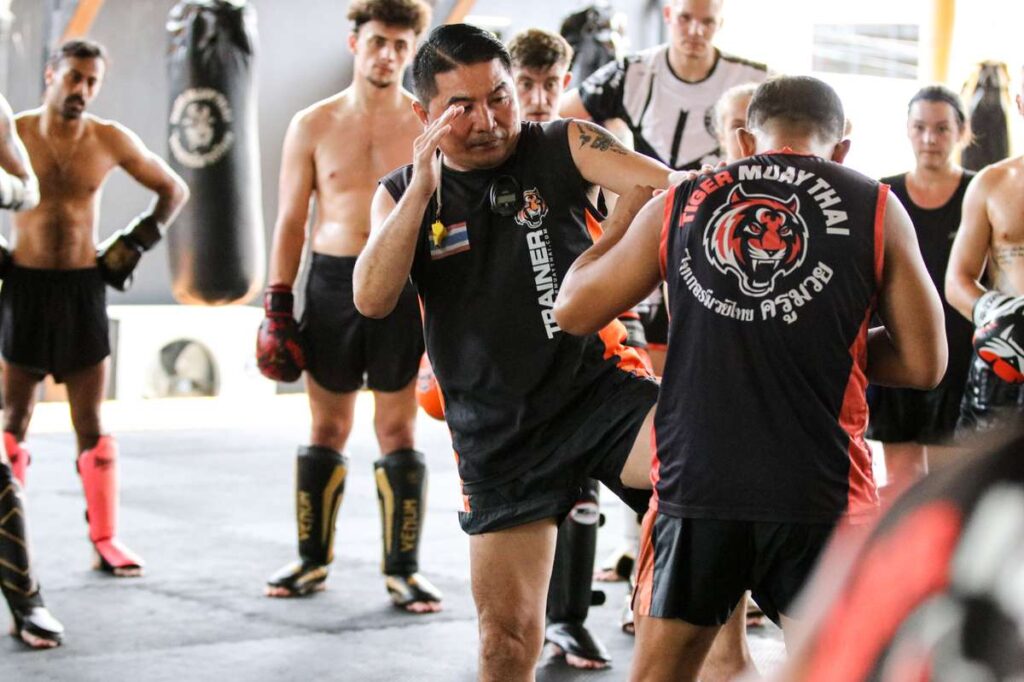 tiger-muay-thai