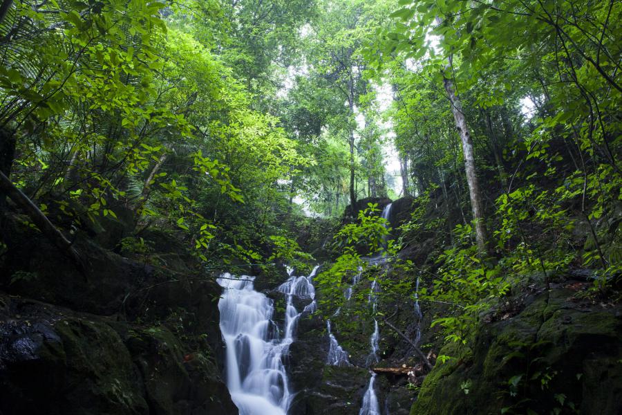 Khao Phra Thaeo National Park