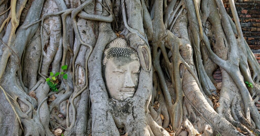A Day trip to Ayutthaya