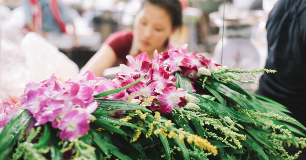 Exploring the Best Plants and Flowers at Chatuchak Plant Market