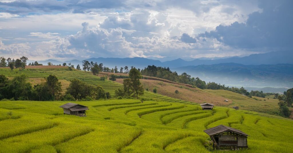 Finding the Best Hotels in Chiangmai for Every Budget