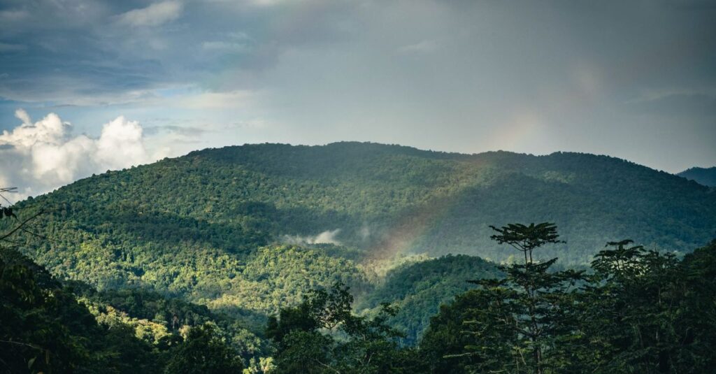 Understanding Chiang Mai Weather: What to Expect Year-Round
