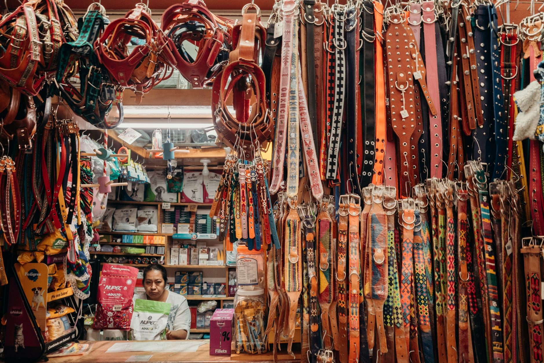 A market stall hung with rows of pet collars, harnesses and leashes above shelves of pet food